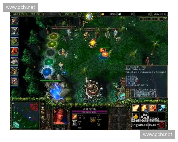 DOTA2银狐崛起探秘她如何以智慧与优雅重塑战场格局